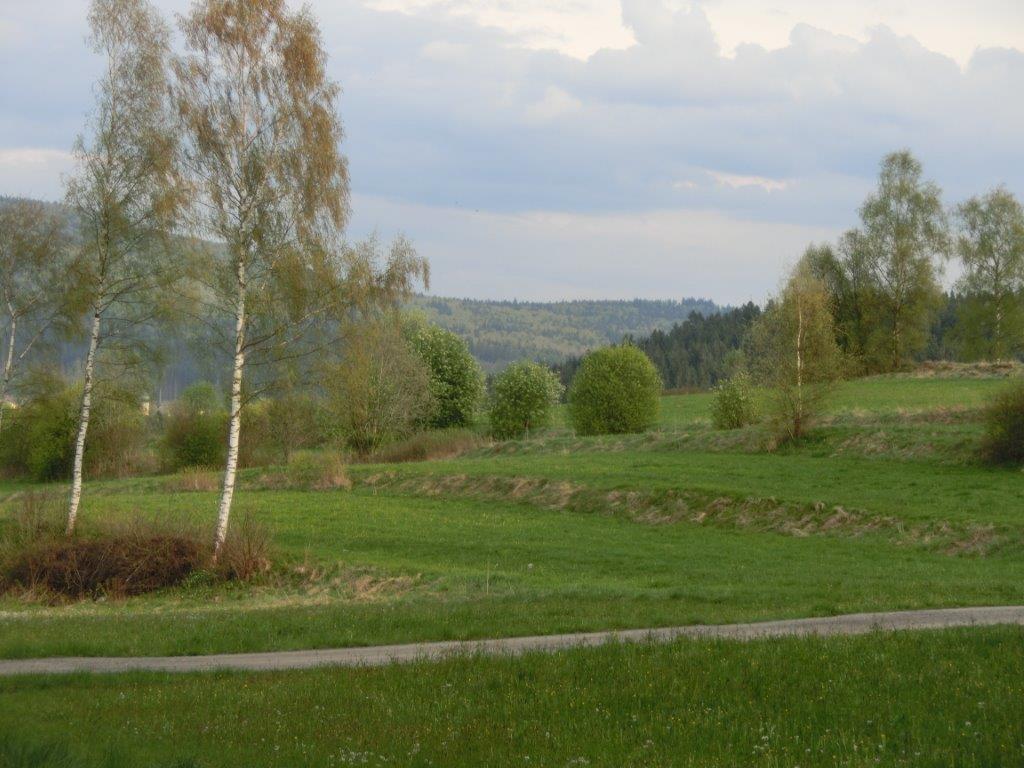 Pension Fohlenhof Frauenau Exterior photo